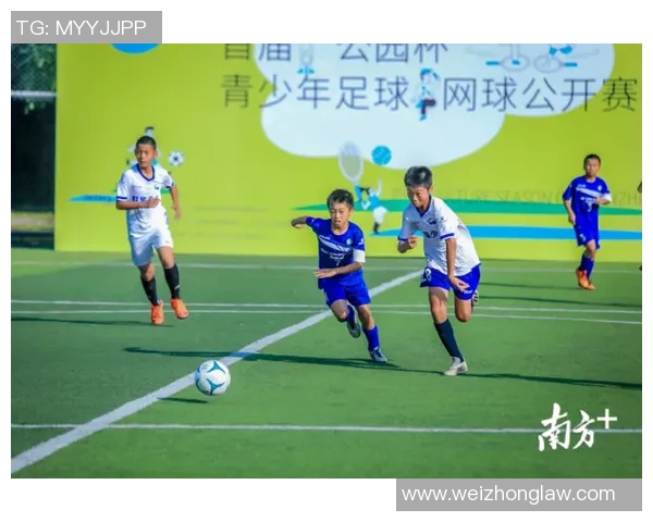 各省校园足球发展现状与未来展望分析报告